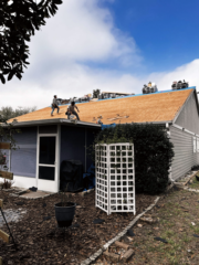Expertly installed roofs by True Force Roofing, showcasing quality craftsmanship and superior materials for homes in Gainesville, Florida.